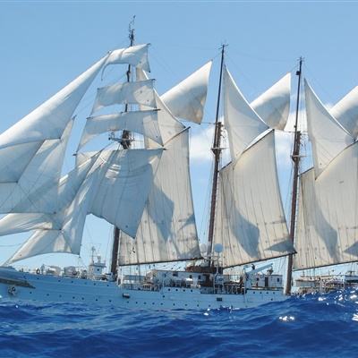 麻将胡了2的网站